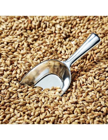 GoldSwaen Munich Light