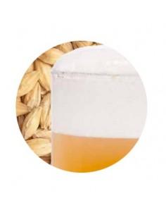 Bestmalz BEST Chit malt